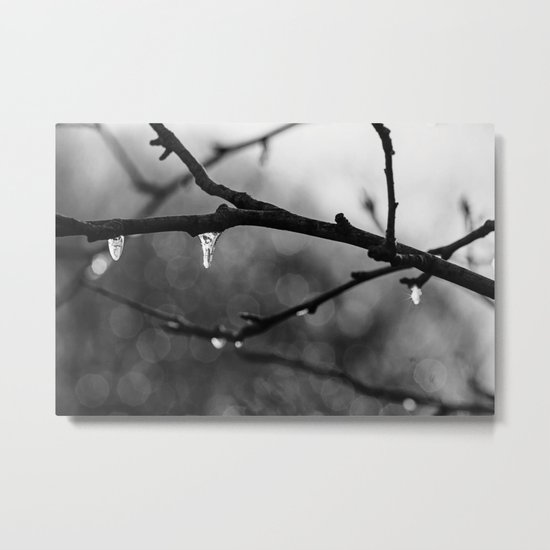 little icicles Metal Print