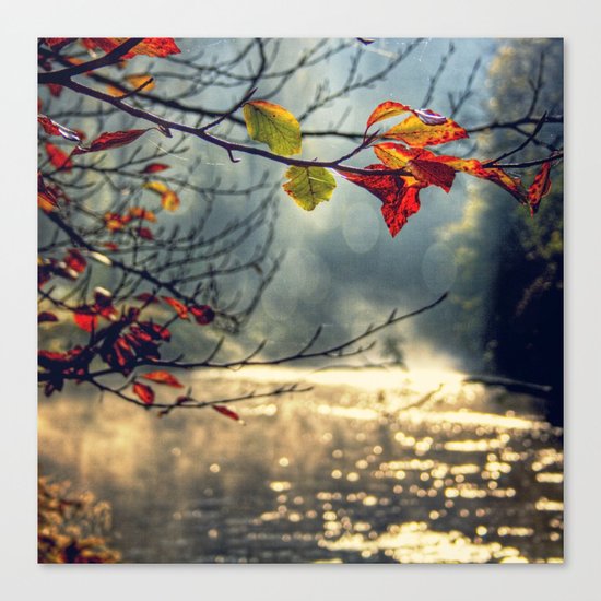 irresistable Canvas Print