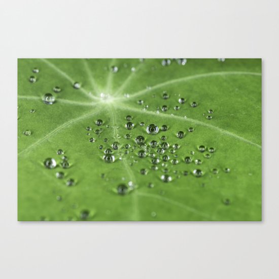 water beads Canvas Print