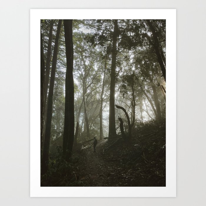 and there's nothing like a mad woman, what a shame she went mad / into the forest viii Art Print