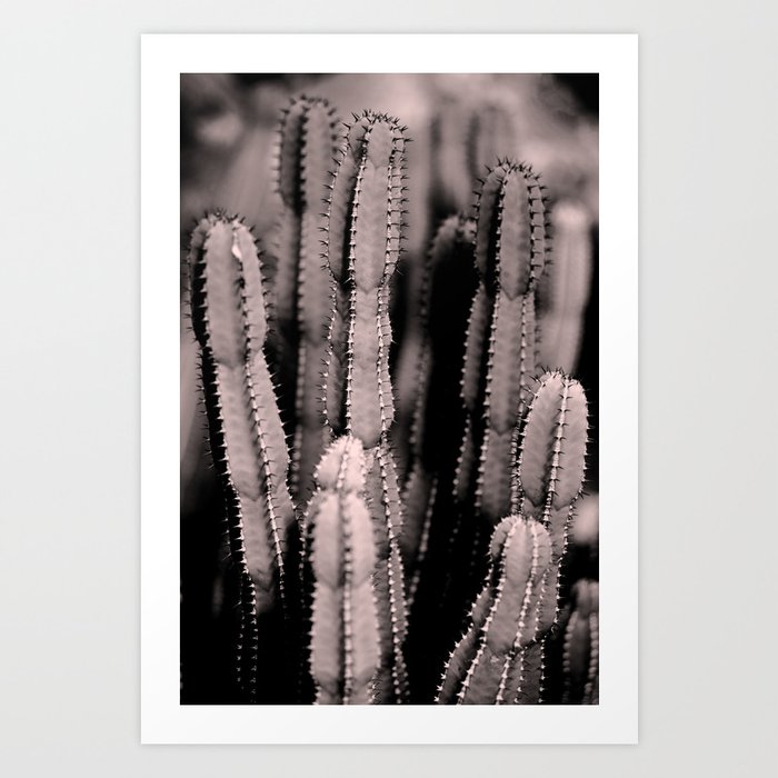 Blush Cacti Dream #1 #cactus #decor #art #society6 Art Print