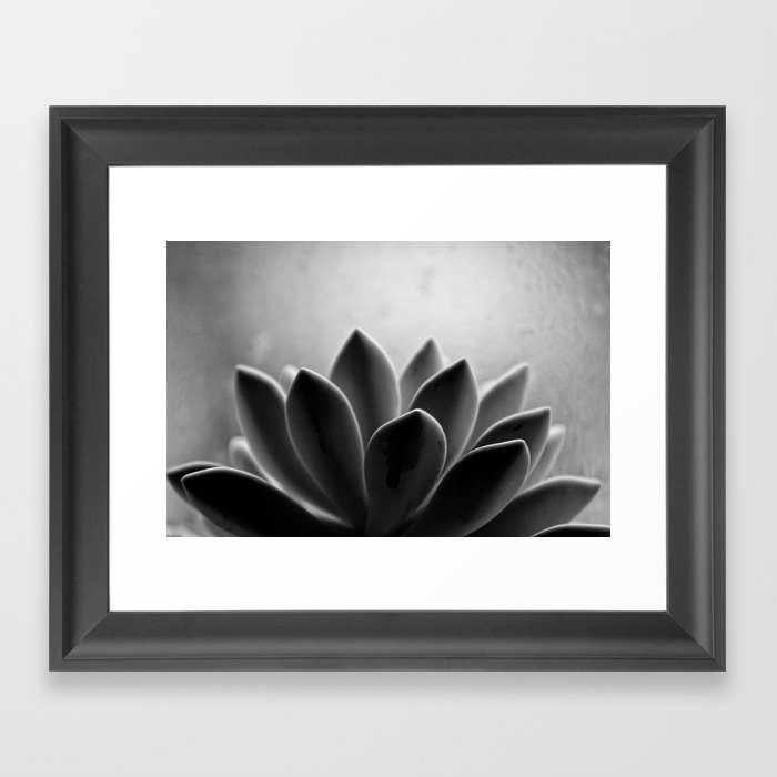 Zen Sprout Framed Art Print