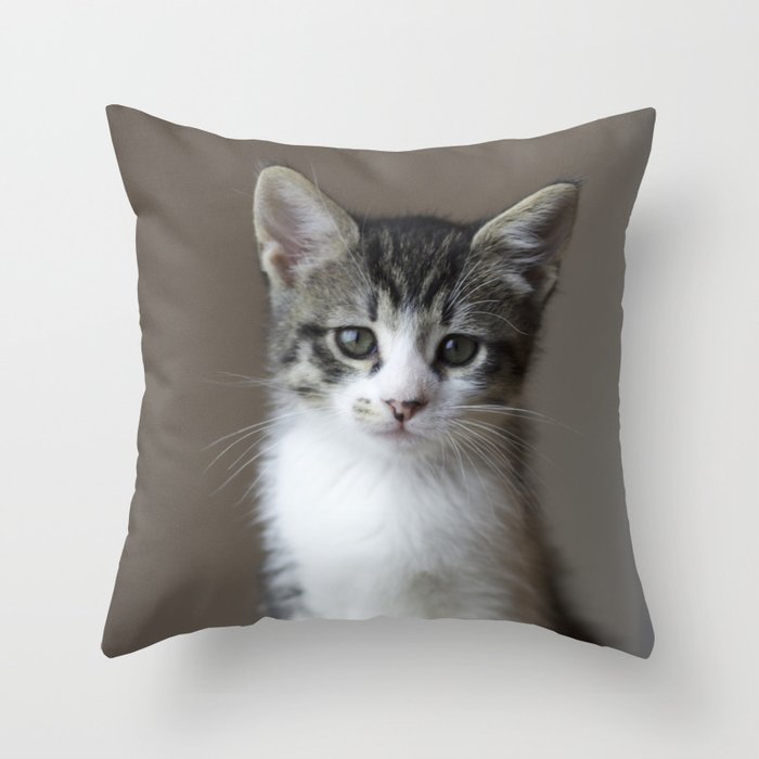 Jack - Kitten Portrait #2 (2016) Throw Pillow