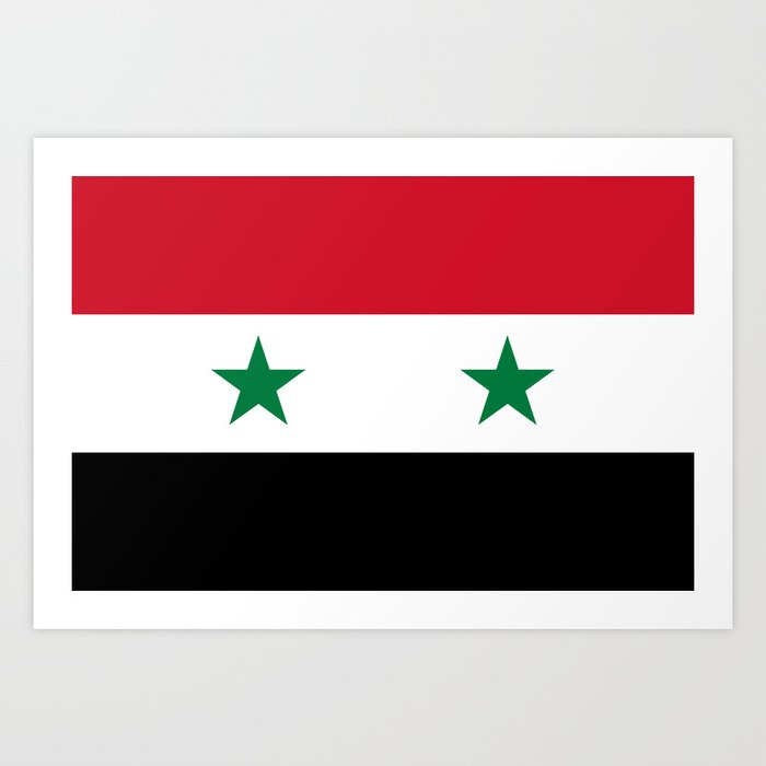 National flag of Syria Art Print