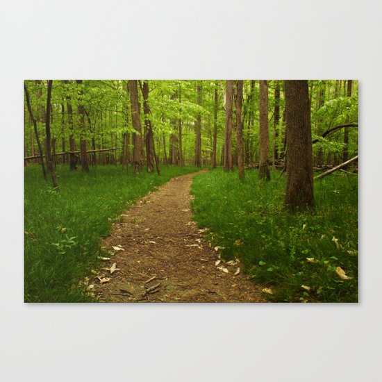 Walk in the Woods II Canvas Print