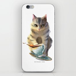 Bad Kitty iPhone Skin
