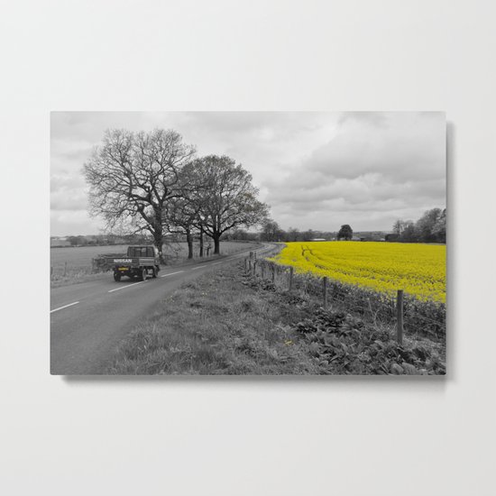Rapeseed Field 01 (Cheshire) Metal Print