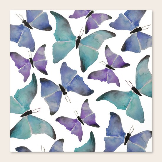 Butterflies Canvas Print