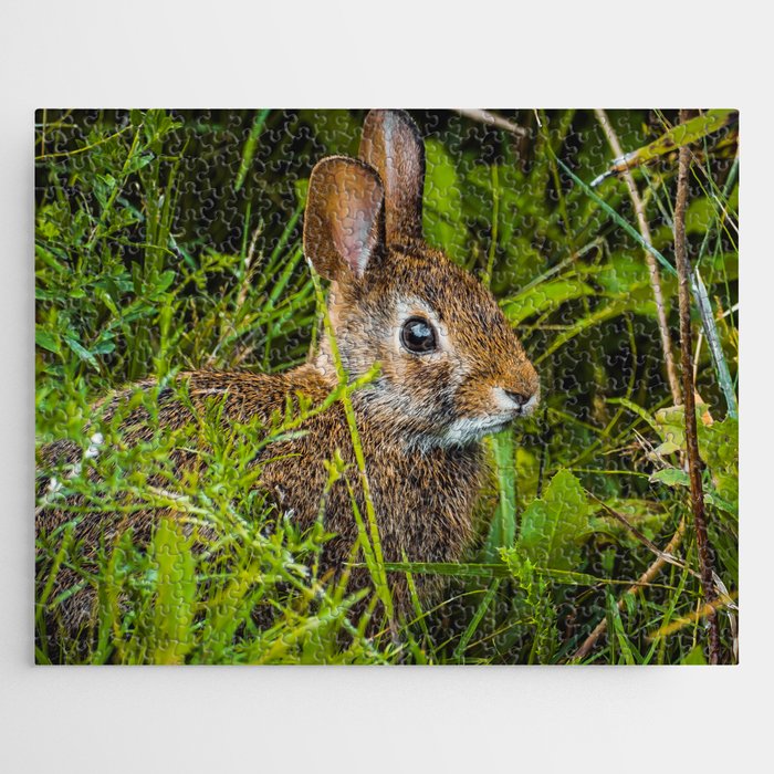 A Wild Bunny Hides in the Grass Photograph Jigsaw Puzzle