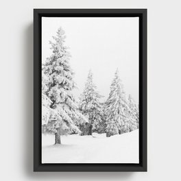 Snow Covered Pine Tree Forest Framed Canvas