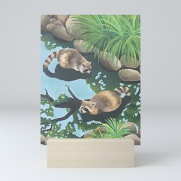 Raccoons in a Pond Mini Art Print