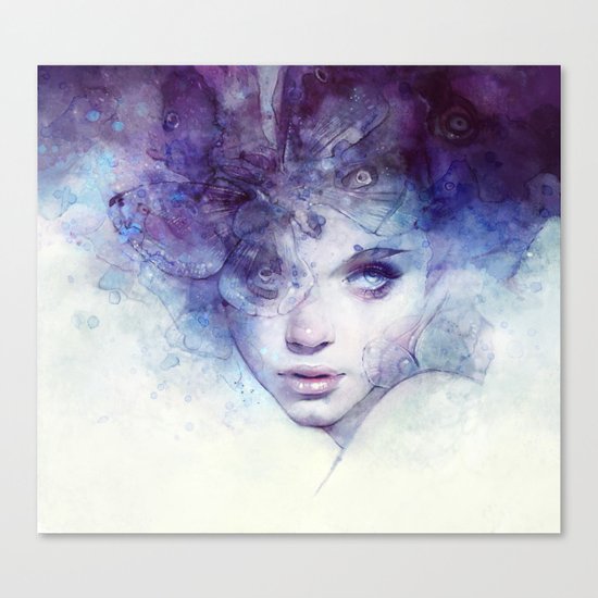 Aerial Canvas Print