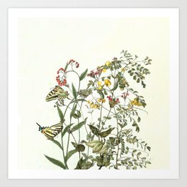 Butterflies and Flower Summer Garden Art Print