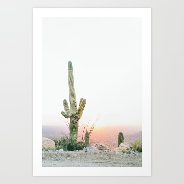 saguaro print, cactus print, botanical print, desert print, desert art, cactus wall art, arizona Art Print
