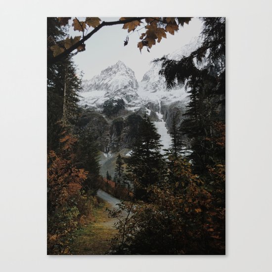 Cascade River Rd Canvas Print