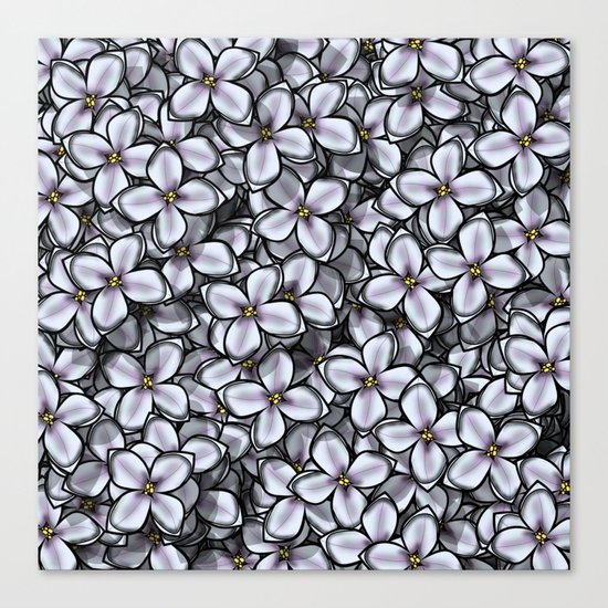 Syringa Canvas Print