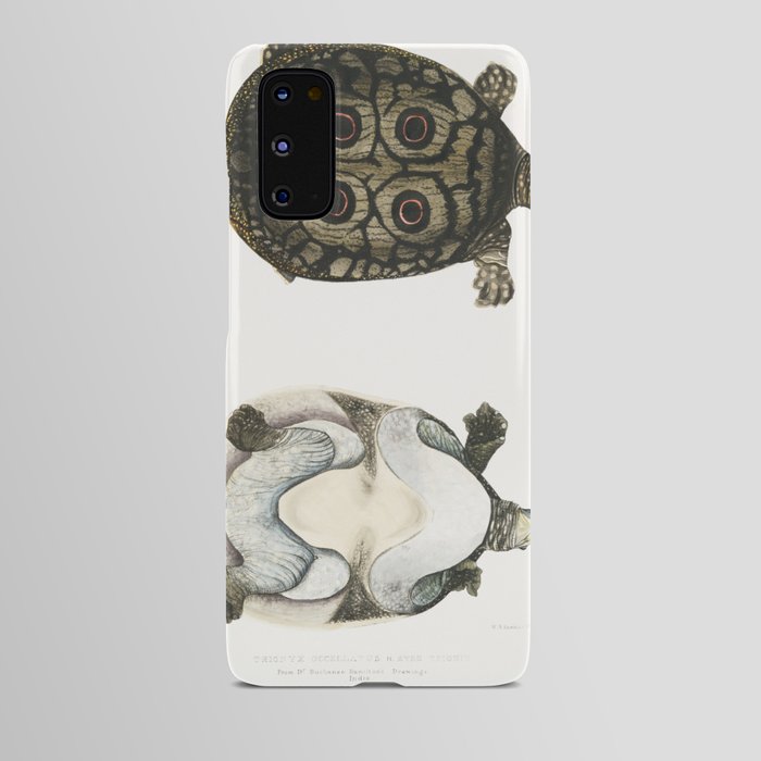 Eyed Trionyx (Tryonix ocellatus) Android Case