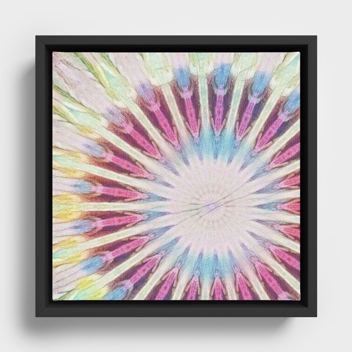 Paper Plate Framed Canvas