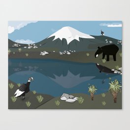 Colombian Mountains Canvas Print