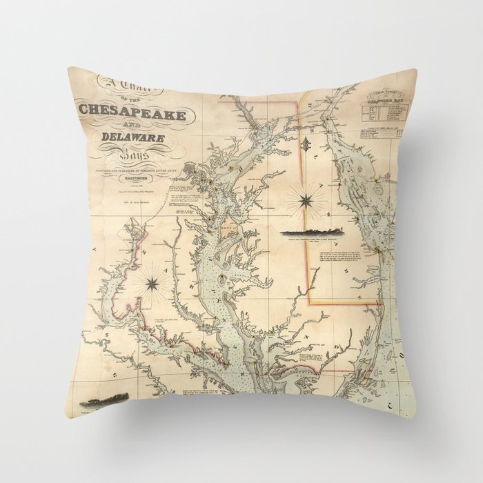 Throw Pillow