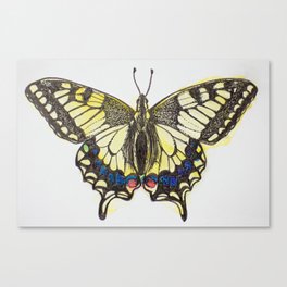 Swallowtail Butterfly Canvas Print