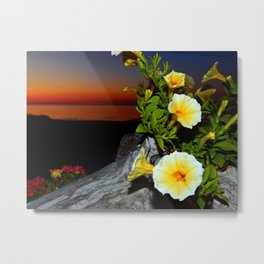Evening Rhapsody Metal Print | Driftwood, Flower, Sun, Song, Sunset, Rhapsody, Stunning, Digital, Floral, Danbythesea 