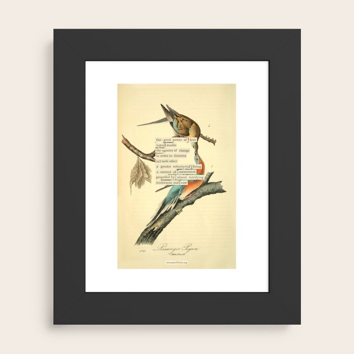 Framed Art Print