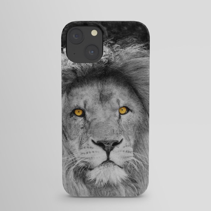 LION BEAUTY iPhone Case