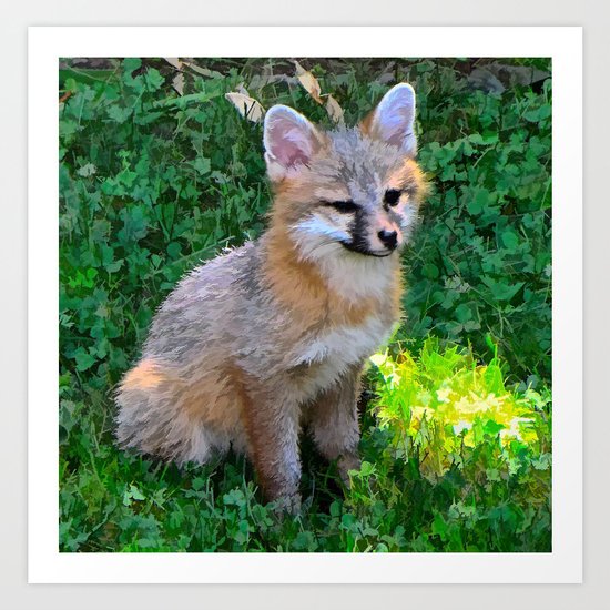 Little Grey Fox Art Print