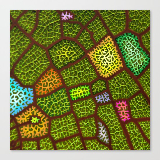 lymph colored Canvas Print