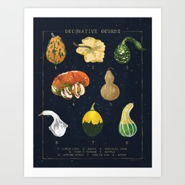 Decorative Gourds Chart Art Print