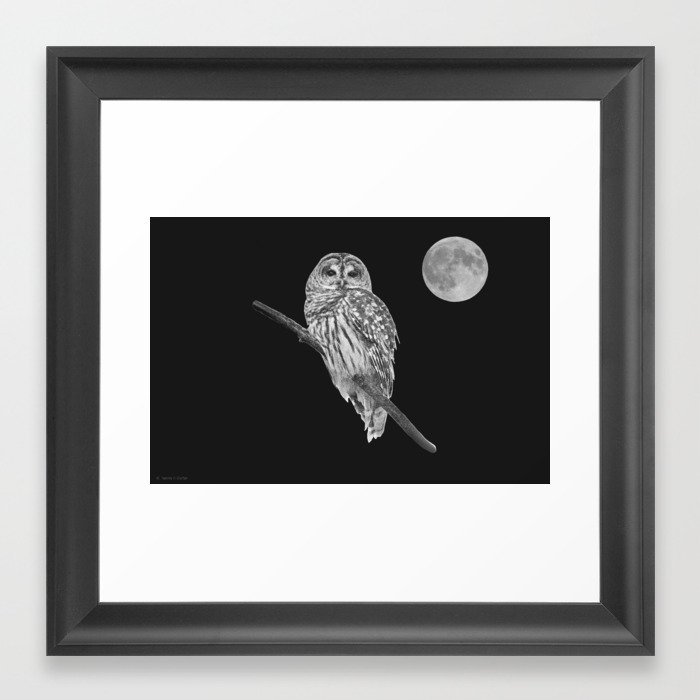 Owl, See the Moon: Barred Owl (bw) Framed Art Print