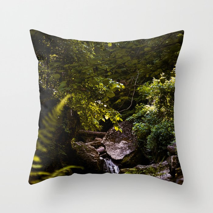 Clifty Falls State Park Throw Pillow