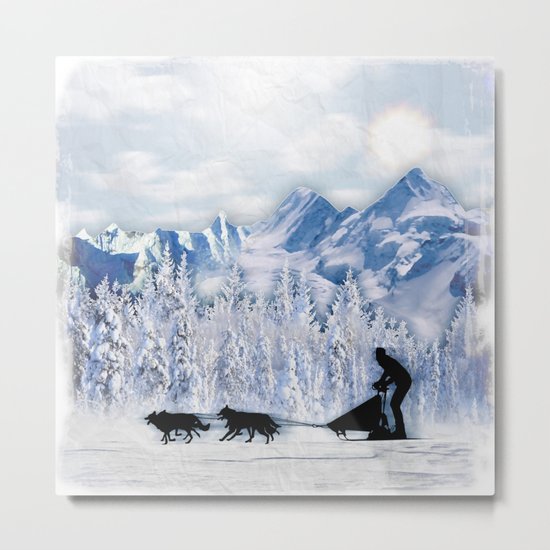 Dogsledding Metal Print
