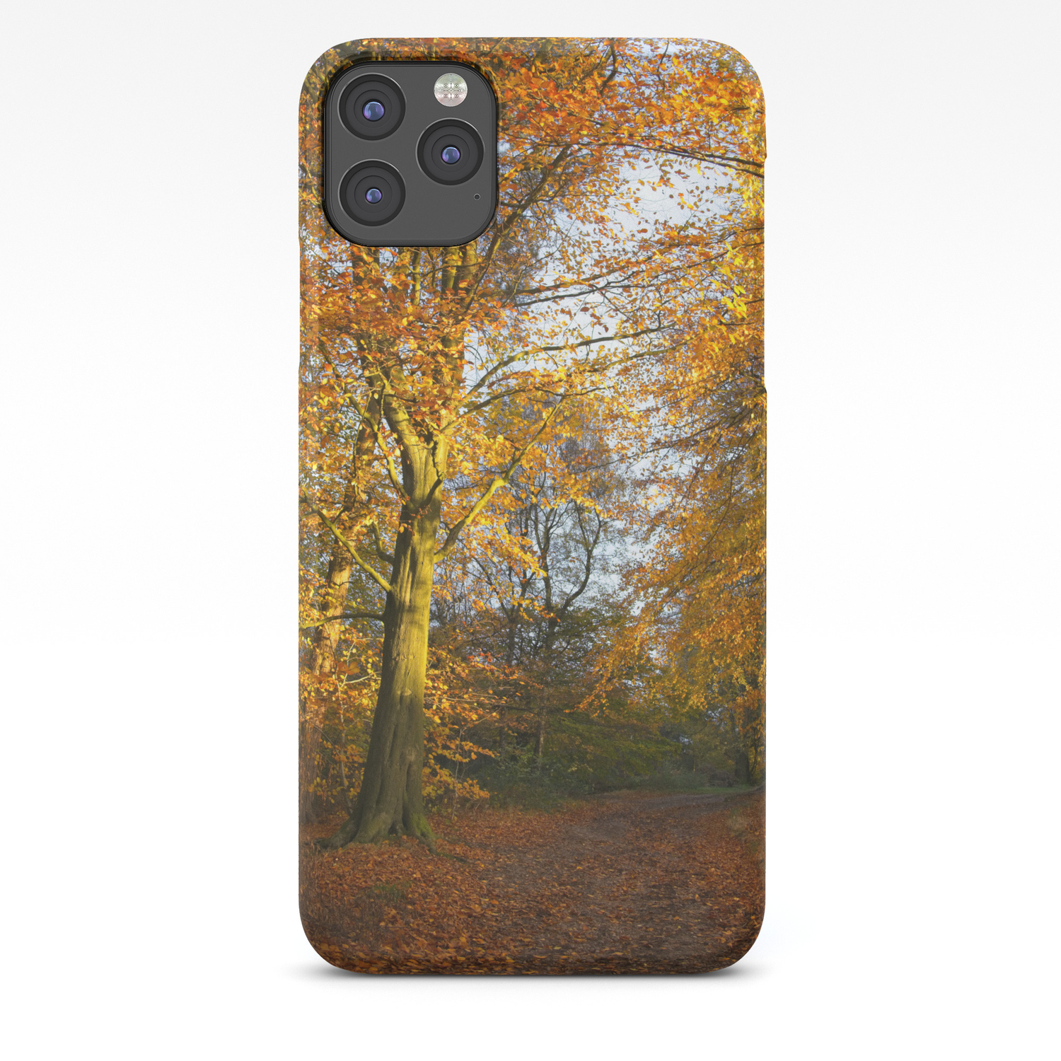 Long Forest Walk iphone 11 case Long Forest Walk iphone 11 case