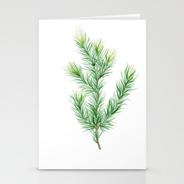 Pine Branch Stationery Cards