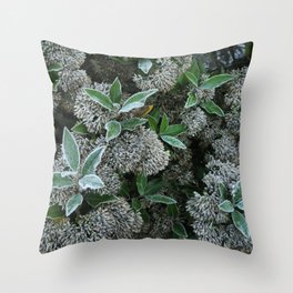 Frosty New Zealand Morning Throw Pillow