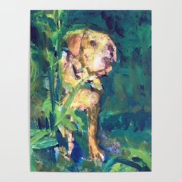 "Van Gogh, Yellow Lab" painting by Willowcatdesigns Poster