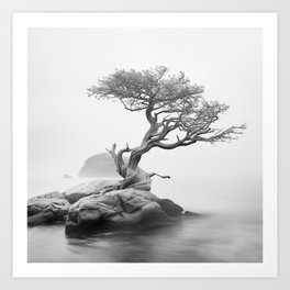 The Minimal Tree - Resting on a Rock Art Print