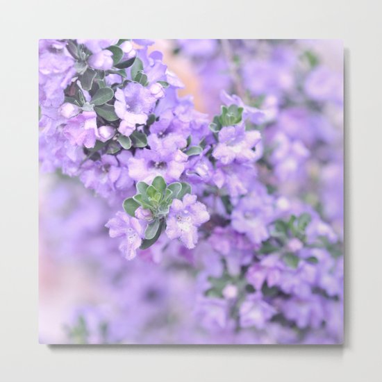 Salutations... Metal Print