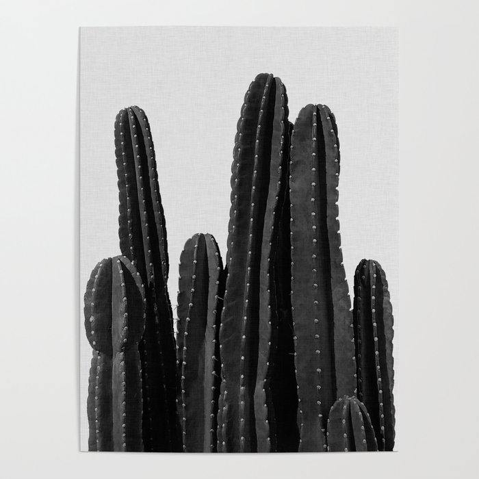 Cactus Black & White Poster