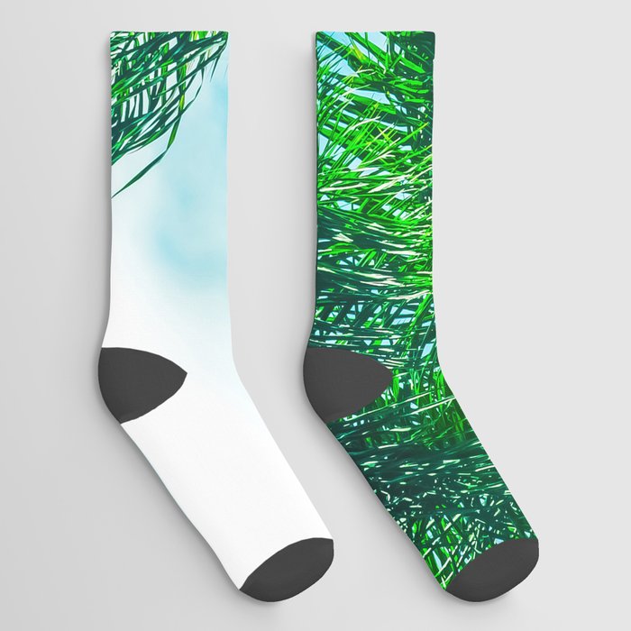 Maui Palm Sky Hawaii Socks