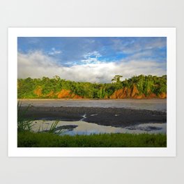 Amazon Jungle by the River in Peru Art Print