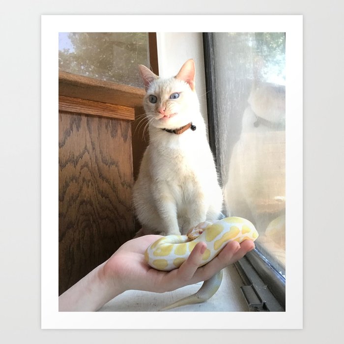 Cat No Banana Snek Art Print By Extraterrestrialcharliebugg Society6