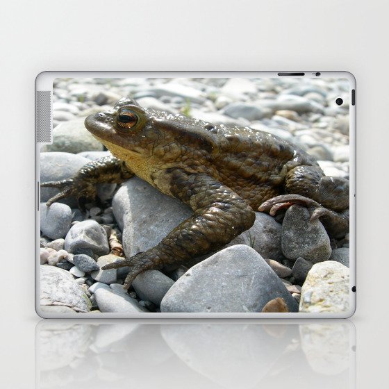 Bufo Bufo Toad Lounging On Stones Laptop & iPad Skin