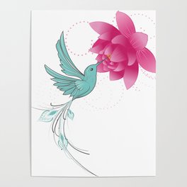 hummingbird in lotus Poster