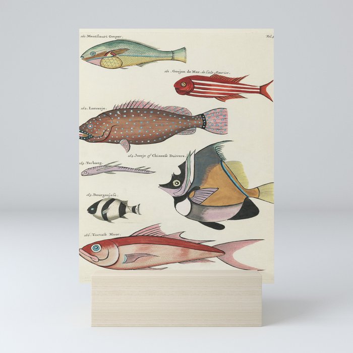 fish by Louis Renard Mini Art Print