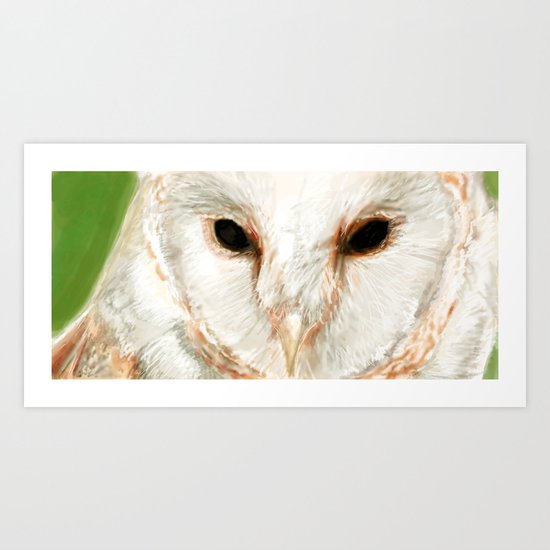 Barn Owl Art Print