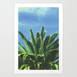 Palm TreE  Art Print