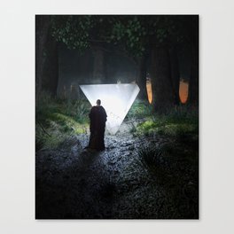 Seeking Out Canvas Print